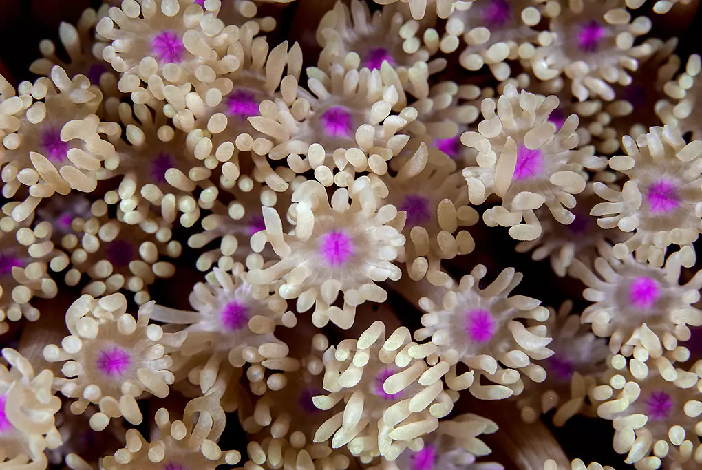 Armony Ocean Photography Wall Art