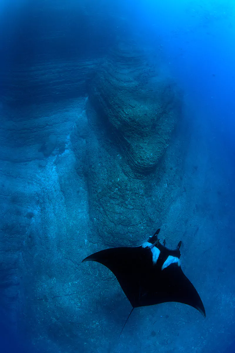 lava-manta-wall-art-print-sea-ray