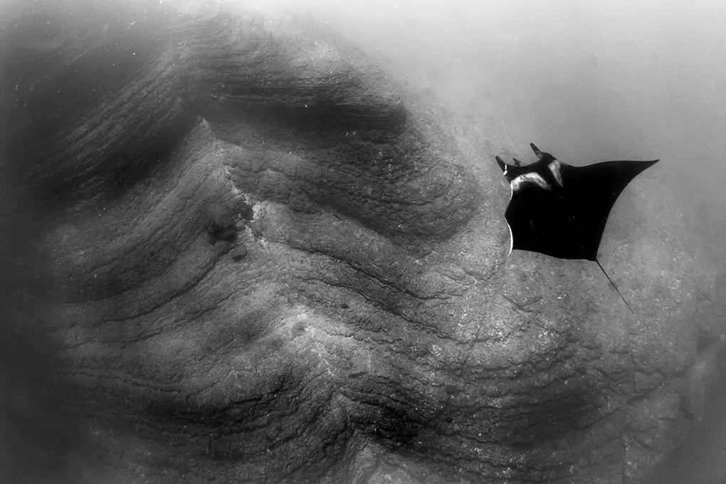 poseidon ocean photography